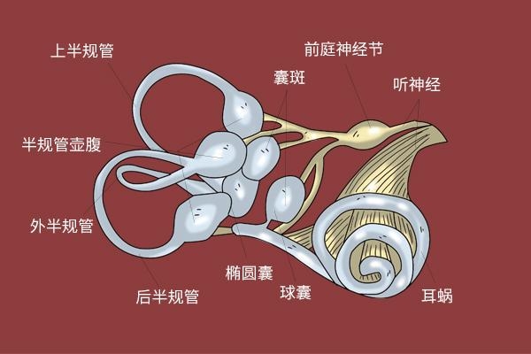 图二.jpg