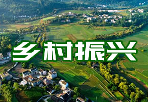乡村振兴