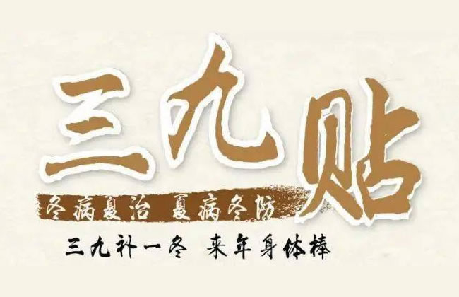 “三九贴”12月21日开贴！“三九补一冬，来年无病痛”，是时候安排上了