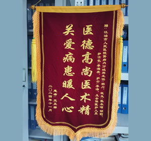 2024年11月患者王某送内分泌科杨川主任及全体医护人员锦旗1面.jpg